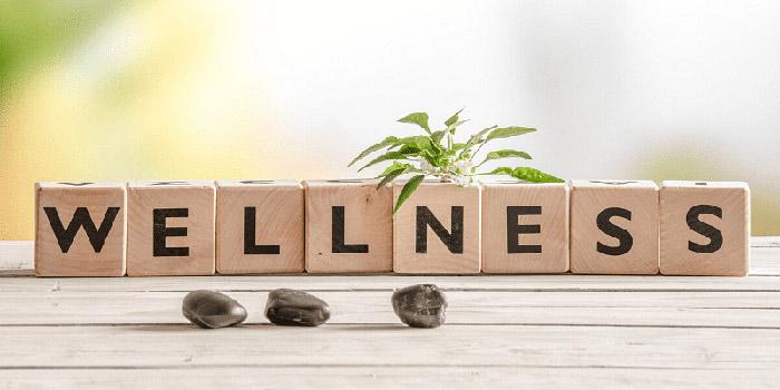 Whole Body Wellness